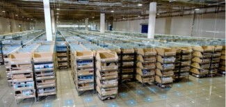 京東物流再亮劍 探秘倉儲自動化新科技如何重塑行業格局